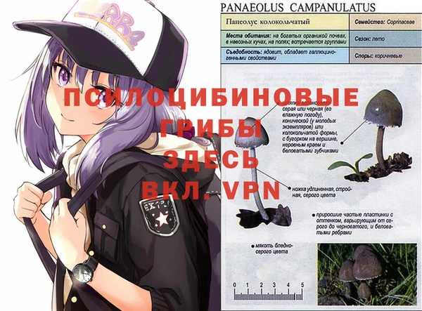 ALPHA-PVP Бородино