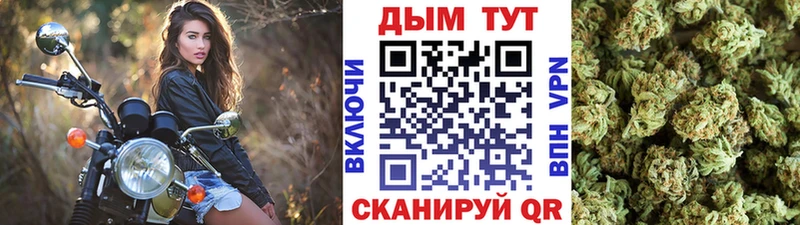 Конопля MAZAR Выборг